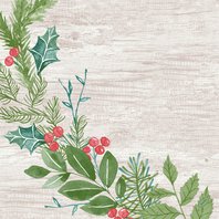 Ubrousky Dunisoft “Zimní rostliny”, 40x40 cm, 60 ks - Obr.1