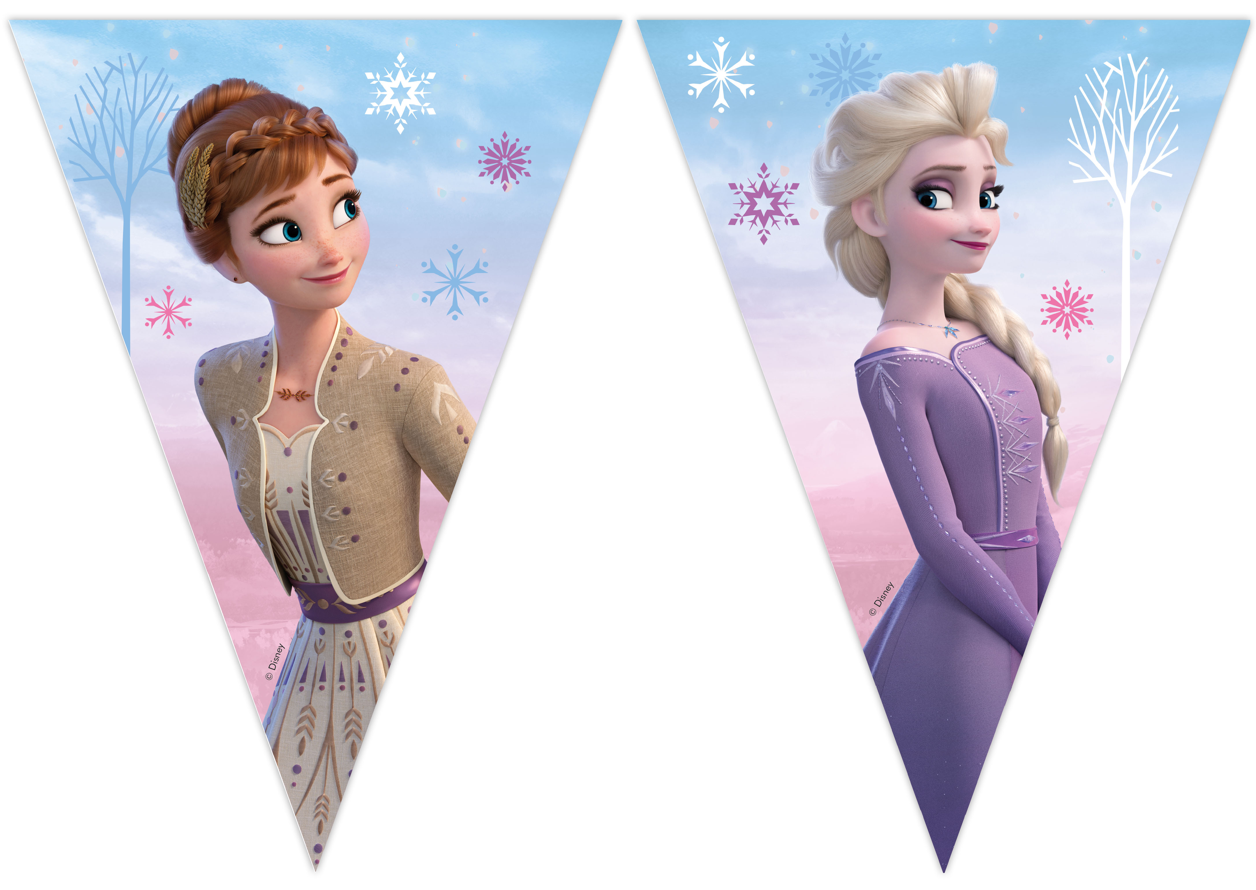 Vlaječkový banner “Frozen 2 - Ledové království”