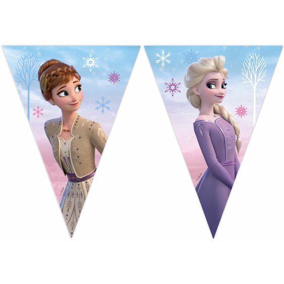Vlaječkový banner “Frozen 2 - Ledové království” - Obr. 1