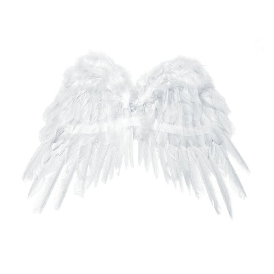 Andělská křídla, 53 cm x 37 cm - Obr.1