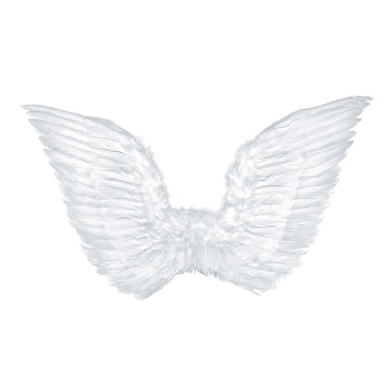 Andělská křídla, 75 cm x 45 cm - Obr. 1